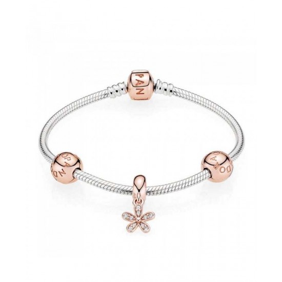 Pandora Bracelet-Rose Dazzling Daisy Complete