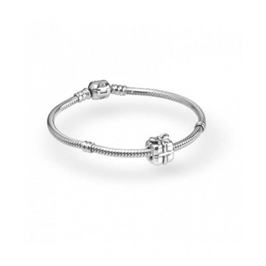 Pandora Bracelet-Perfect Present Complete