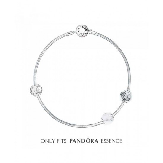 Pandora Bracelet-Essence Euphoria Complete
