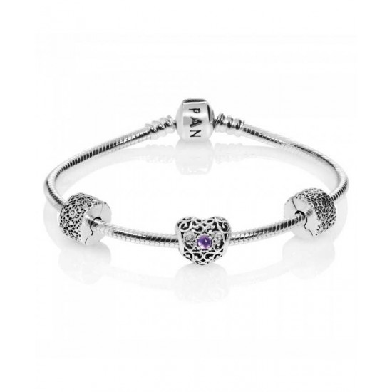 Pandora Bracelet-February Birthstone Complete Jewelry