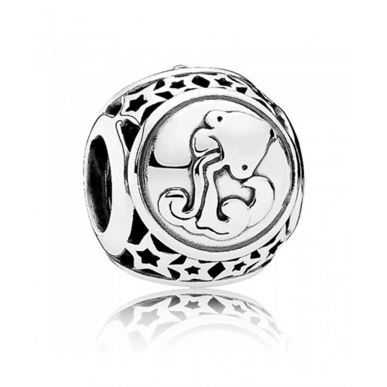Pandora Charm-Silver Aquarius Star Sign Jewelry